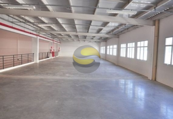 Depósito-Galpão, 20641 m² - Foto 12