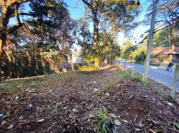 Terreno, 2334 m² - Foto 3