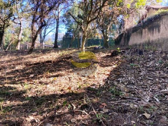 Terreno, 2334 m² - Foto 4