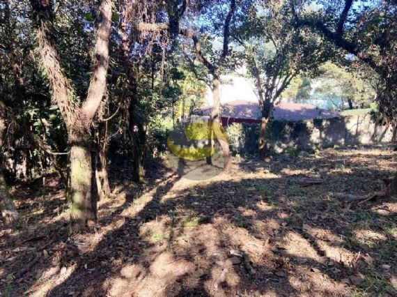 Terreno, 2334 m² - Foto 6
