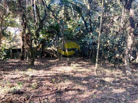 Terreno, 2334 m² - Foto 8