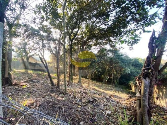 Terreno, 2334 m² - Foto 9
