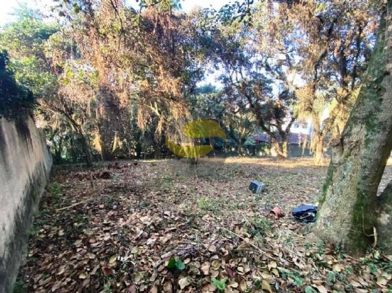 Terreno, 2334 m² - Foto 10