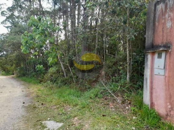 Terreno, 1550 m² - Foto 4