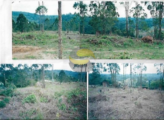 Terreno, 1550 m² - Foto 6