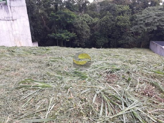 Terreno, 880 m² - Foto 6