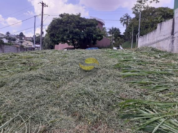 Terreno, 880 m² - Foto 3