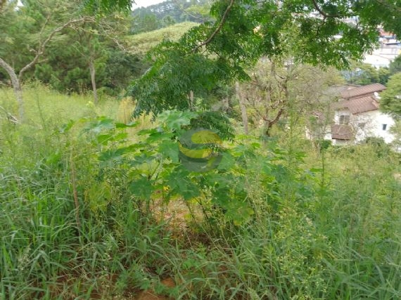 Terreno, 1236 m² - Foto 3