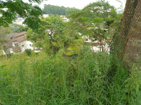 Terreno, 1236 m² - Foto 6