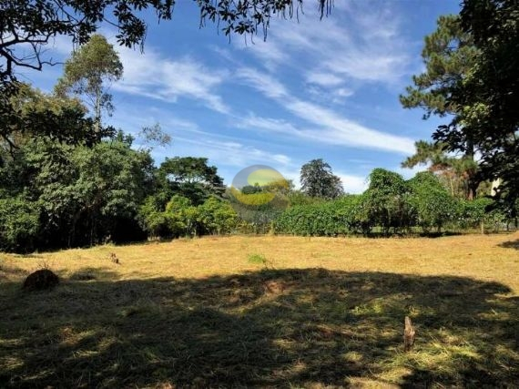 Terreno, 2339 m² - Foto 3