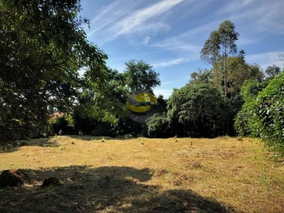 Terreno, 2339 m² - Foto 4