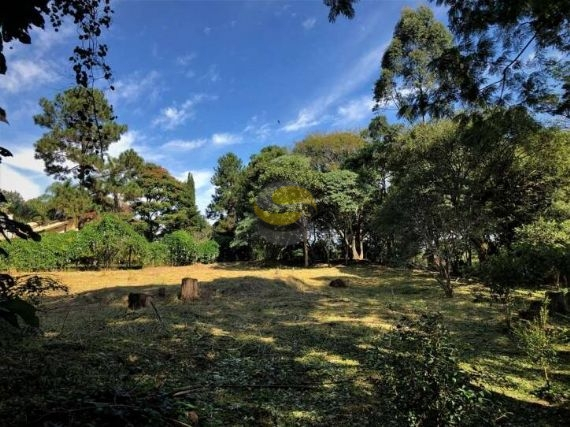 Terreno, 2339 m² - Foto 5