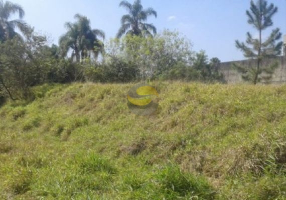 Terreno, 10000 m² - Foto 7