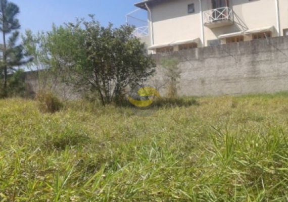 Terreno, 10000 m² - Foto 1