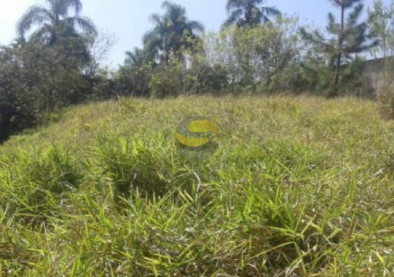 Terreno, 10000 m² - Foto 8