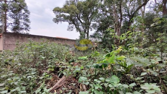 Terreno, 1000 m² - Foto 3