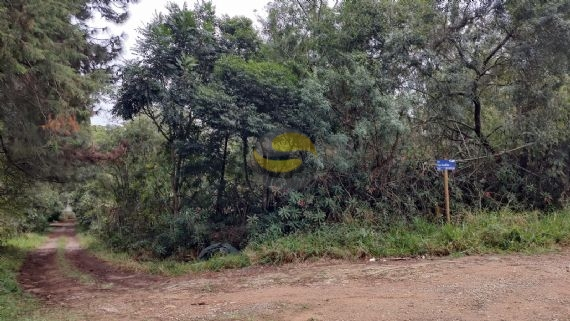 Terreno, 6500 m² - Foto 4