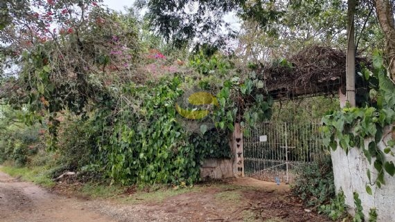 Terreno, 6500 m² - Foto 6