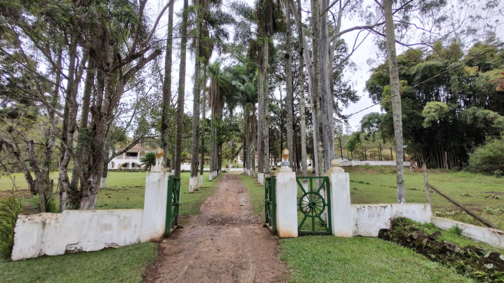 Sítio à venda com 3 quartos, 315000m² - Foto 5