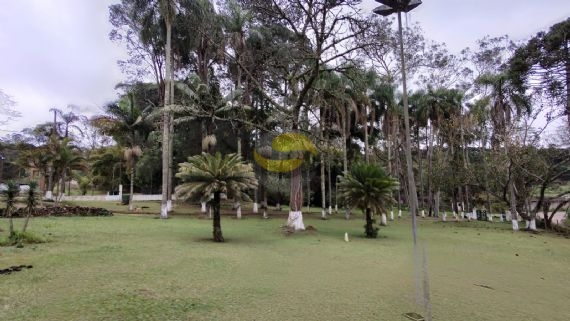 Sítio à venda com 3 quartos, 315000m² - Foto 12