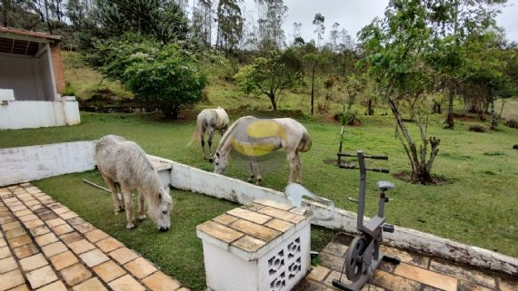 Sítio à venda com 3 quartos, 315000m² - Foto 14