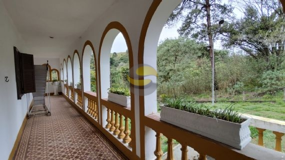 Sítio à venda com 3 quartos, 315000m² - Foto 15