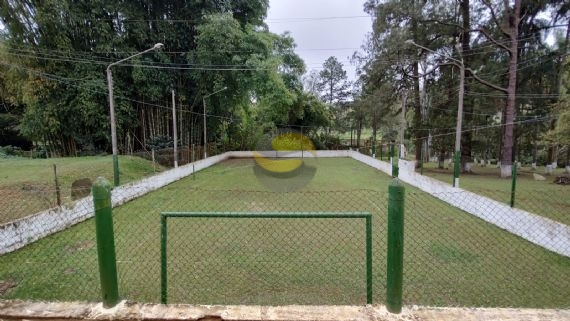 Sítio à venda com 3 quartos, 315000m² - Foto 16