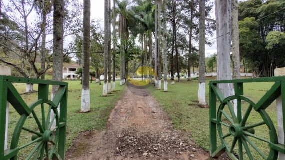 Sítio à venda com 3 quartos, 315000m² - Foto 18