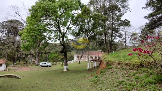 Sítio à venda com 3 quartos, 315000m² - Foto 20