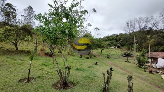 Sítio à venda com 3 quartos, 315000m² - Foto 41