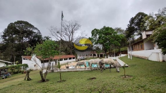 Sítio à venda com 3 quartos, 315000m² - Foto 42