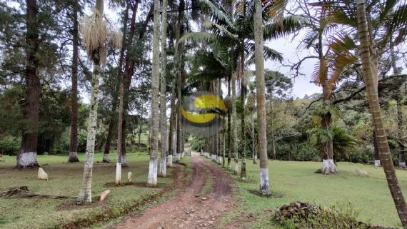 Sítio à venda com 3 quartos, 315000m² - Foto 51