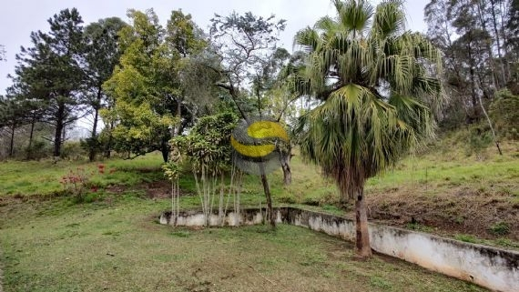 Sítio à venda com 3 quartos, 315000m² - Foto 58
