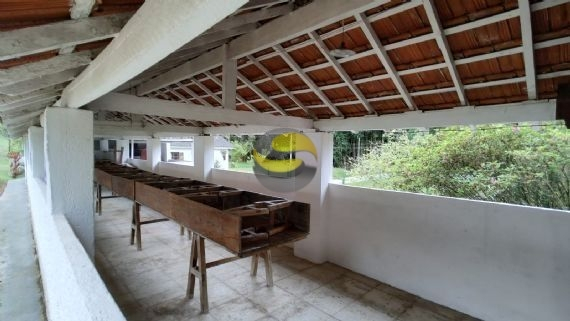 Sítio à venda com 3 quartos, 315000m² - Foto 59