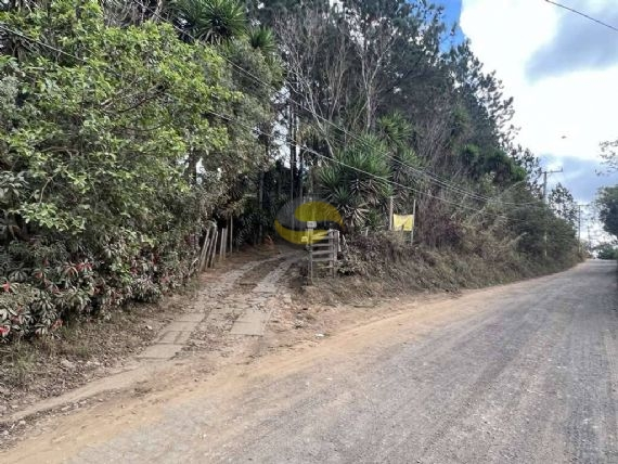 Terreno, 2 hectares - Foto 4
