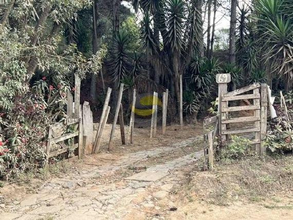 Terreno, 2 hectares - Foto 6