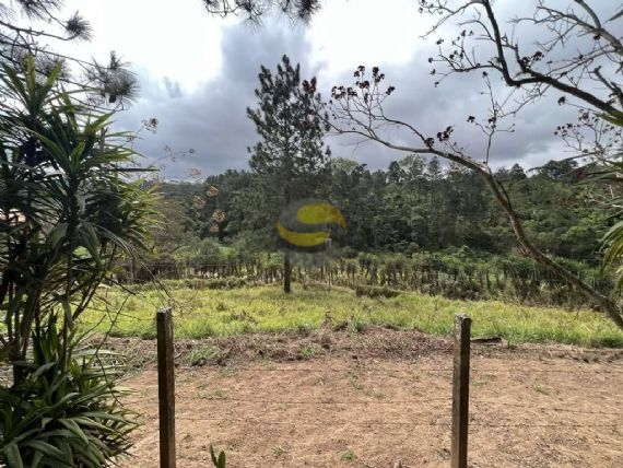 Terreno, 2 hectares - Foto 7