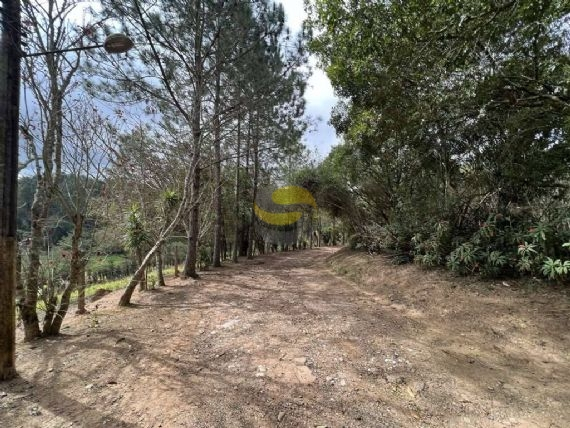 Terreno, 2 hectares - Foto 10