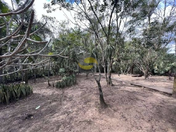 Terreno, 2 hectares - Foto 11