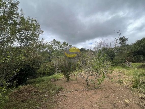 Terreno, 2 hectares - Foto 12