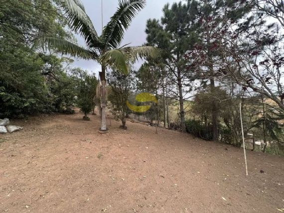 Terreno, 2 hectares - Foto 14