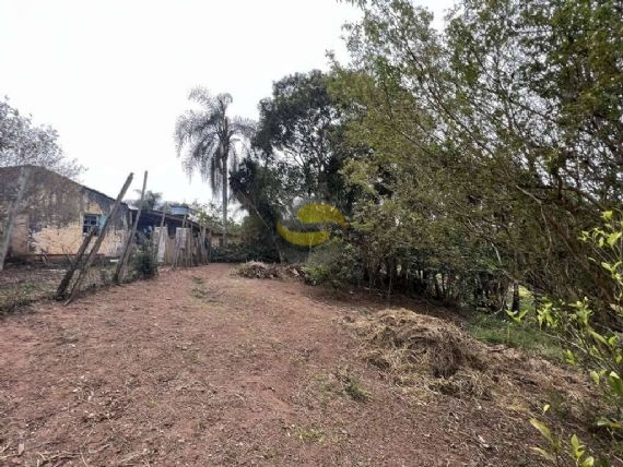 Terreno, 2 hectares - Foto 15