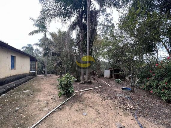 Terreno, 2 hectares - Foto 21