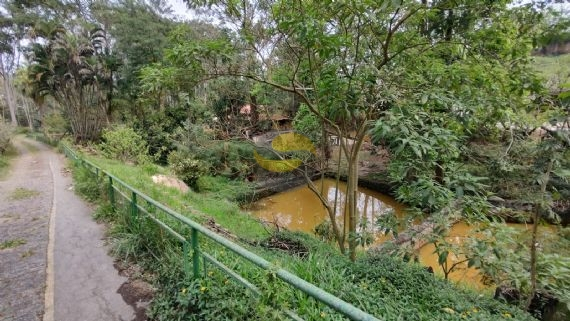 Terreno, 3 hectares - Foto 7