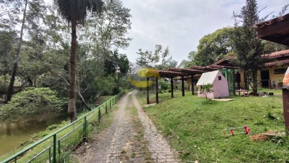 Terreno, 3 hectares - Foto 8
