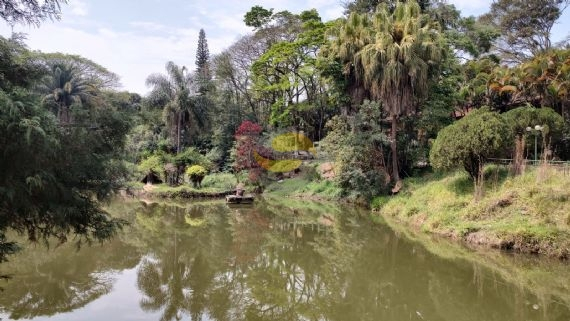 Terreno, 3 hectares - Foto 9