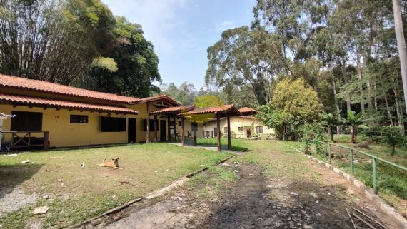 Terreno, 3 hectares - Foto 10