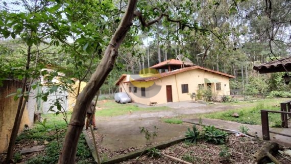 Terreno, 3 hectares - Foto 12