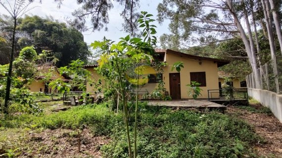 Terreno, 3 hectares - Foto 13