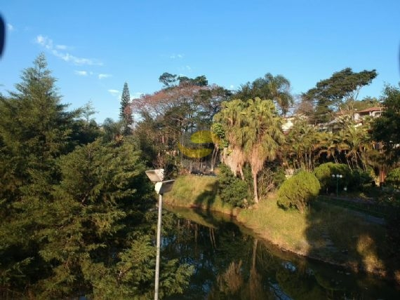 Terreno, 3 hectares - Foto 14